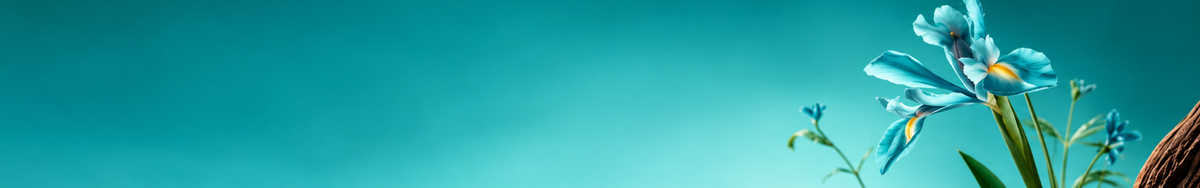 collection-banner-image